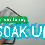Another-way-to-say-soak-up