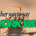 Another-way-to-say-work-with