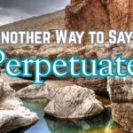 Another Way to Say Perpetuate