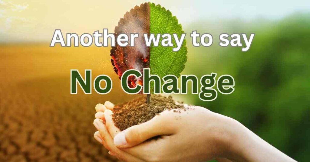 Another way to say no change