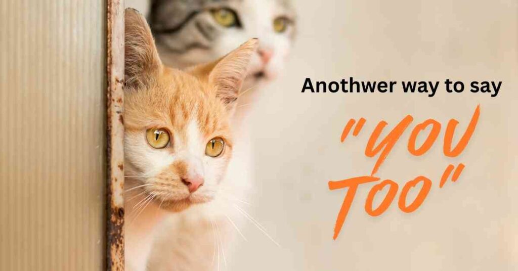 Another way to say you too