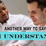 another way to say i understand
