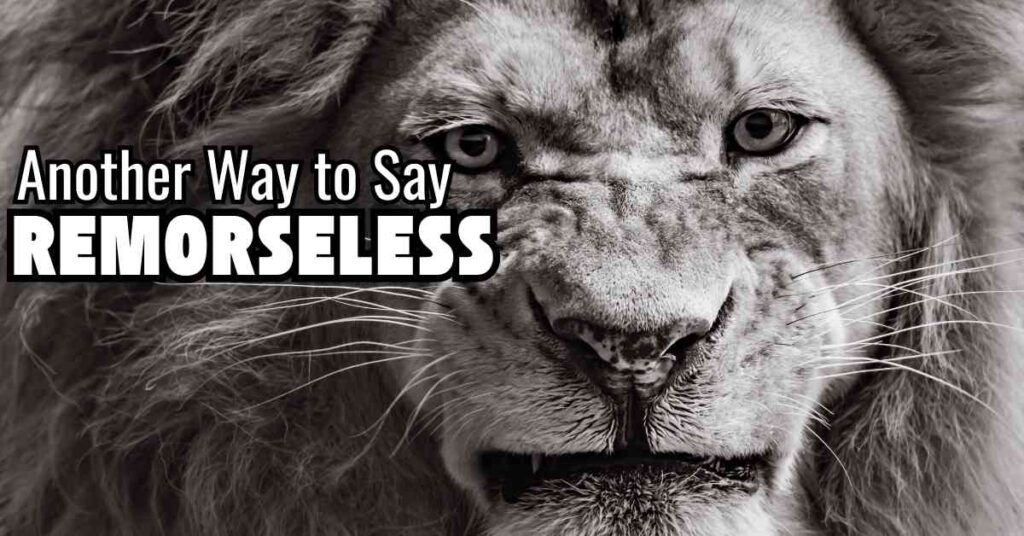 Another way to say Remorseless