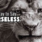 Another way to say Remorseless