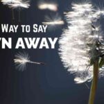 Another Way to Say Blown Away