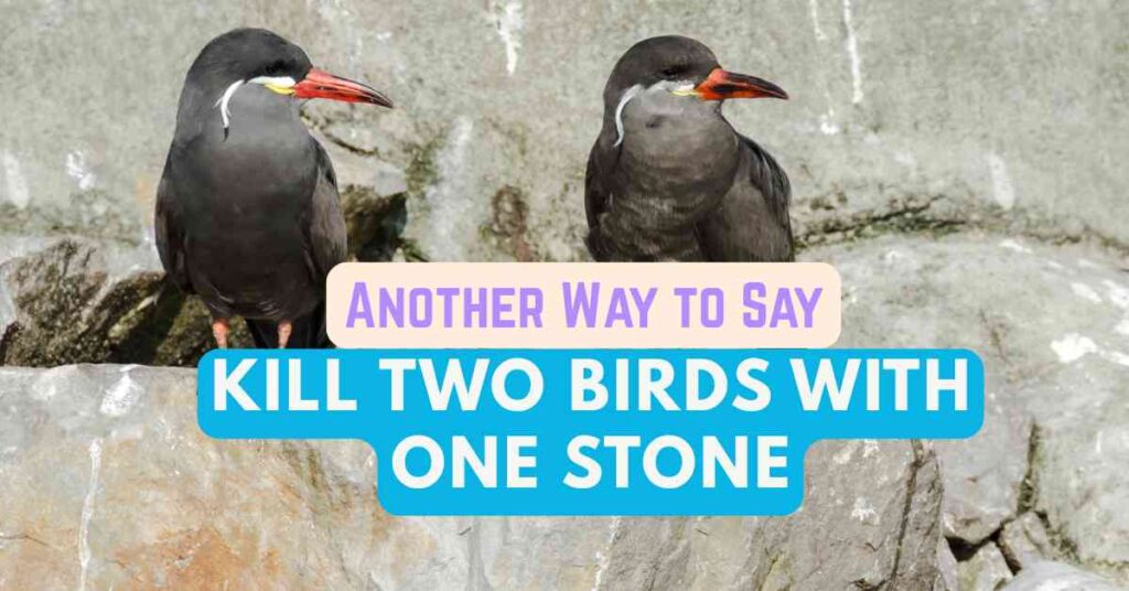 Another Way to Say Kill Two Birds with One Stone