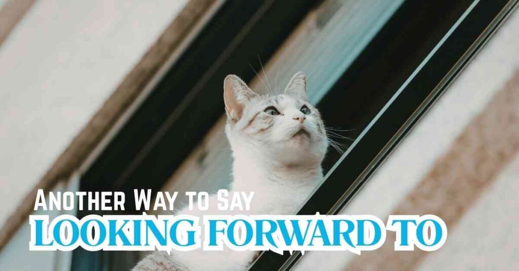 Another Way to Say Looking Forward To