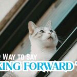 Another Way to Say Looking Forward To