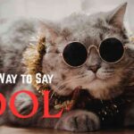 Another Way to Say cool