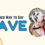 Another Way to Say have