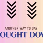 another way to say Brought Down