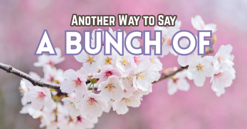 Another Way to Say A Bunch Of