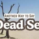 Another Way to Say Dead Set
