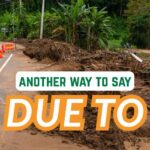 another way to say Due To