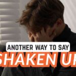 another way to say Shaken Up