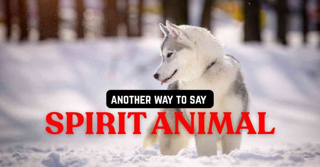 another way to say Spirit Animal