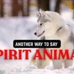 another way to say Spirit Animal