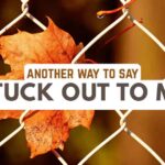 another way to say Stuck Out to Me