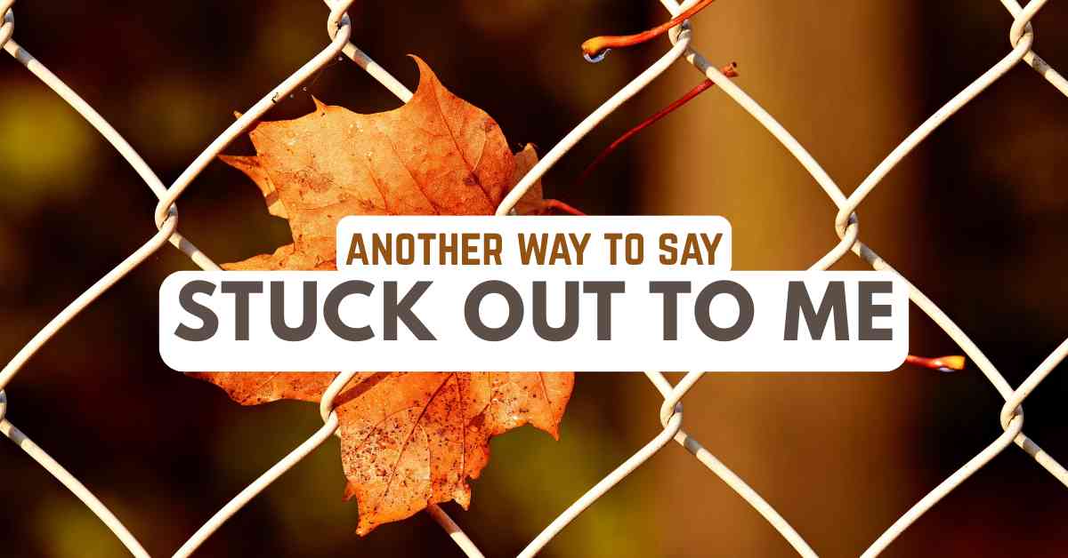 another way to say Stuck Out to Me