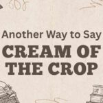 Another Way to Say Cream of the Crop
