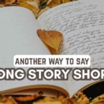 another way to say Long Story Short