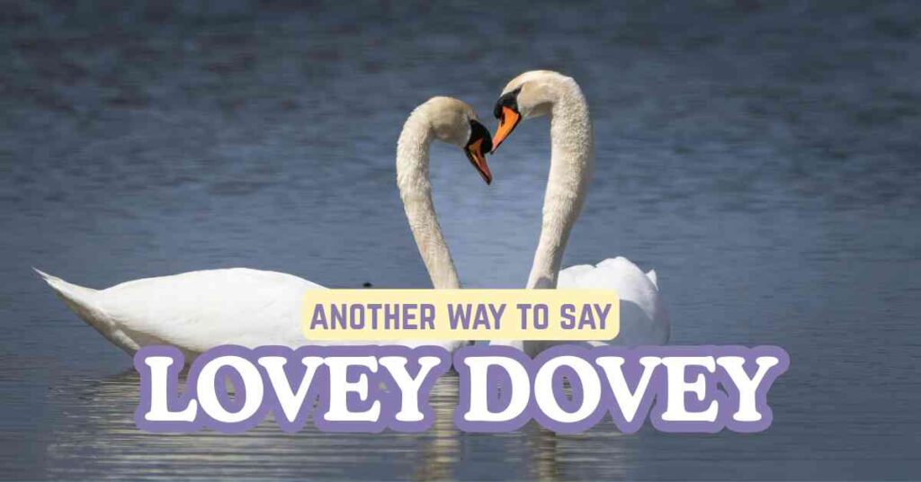 another way to say Lovey Dovey