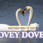 another way to say Lovey Dovey