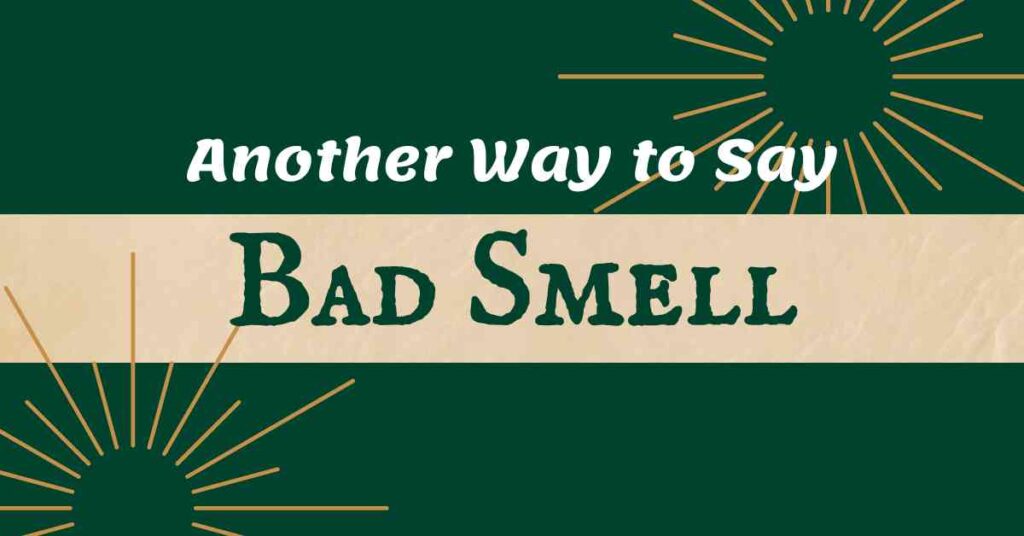 Another Way to Say Bad Smell