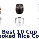 best 10 cup uncooked rice cooker