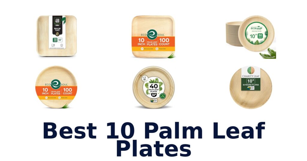 best 10 palm leaf plates
