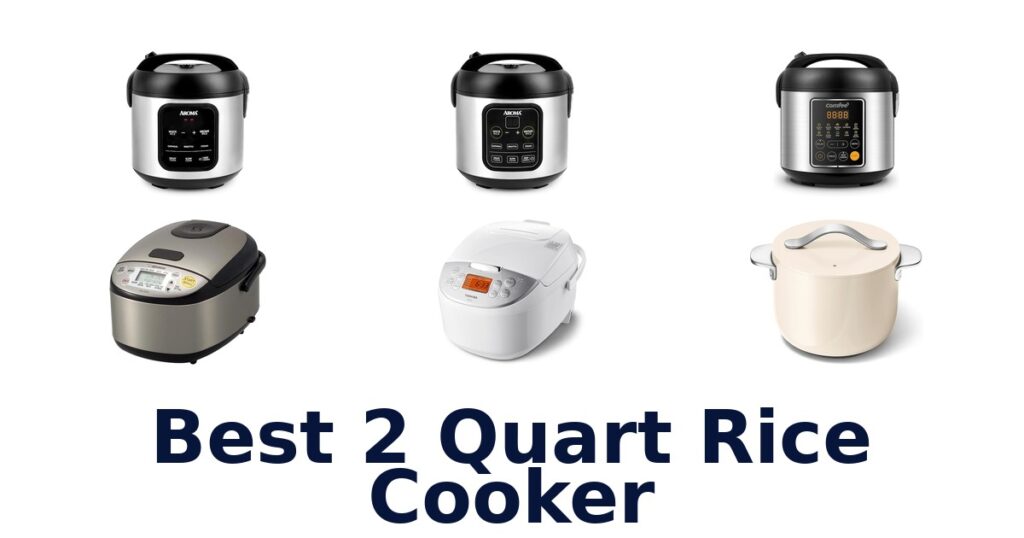 best 2 quart rice cooker