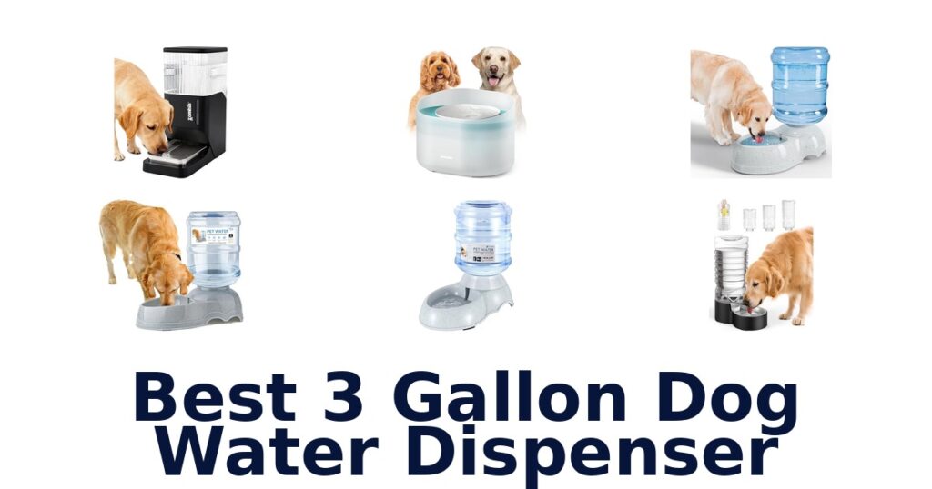 best 3 gallon dog water dispenser