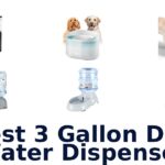 best 3 gallon dog water dispenser