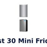 best 30 mini fridge