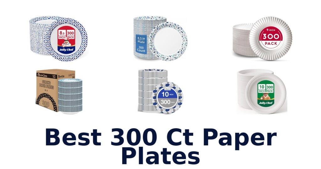 best 300 ct paper plates
