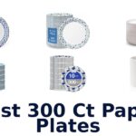 best 300 ct paper plates