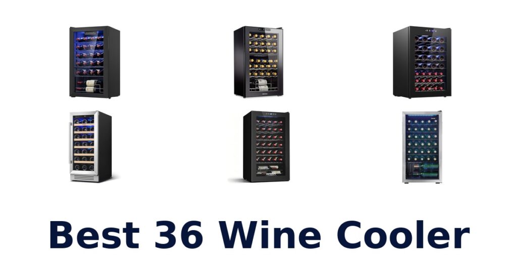 best 36 wine cooler