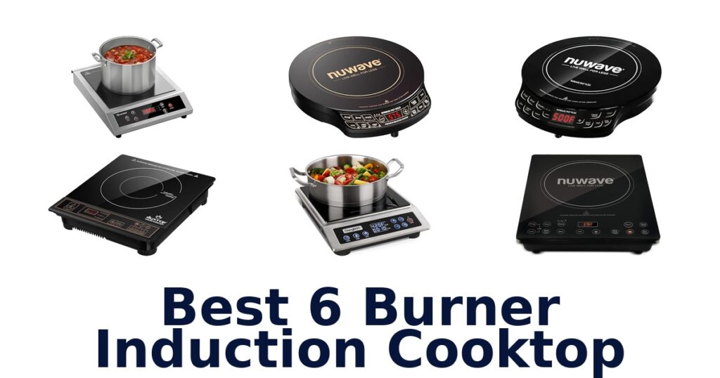 best 6 burner induction cooktop