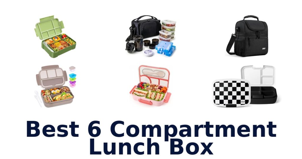 best 6 compartment lunch box