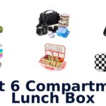best 6 compartment lunch box