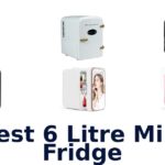 best 6 litre mini fridge