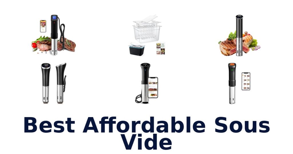 best affordable sous vide
