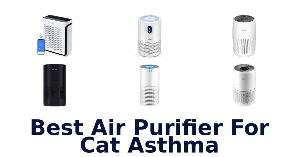 best air purifier for cat asthma