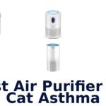 best air purifier for cat asthma