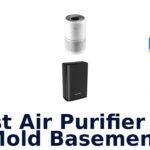 best air purifier for mold basement