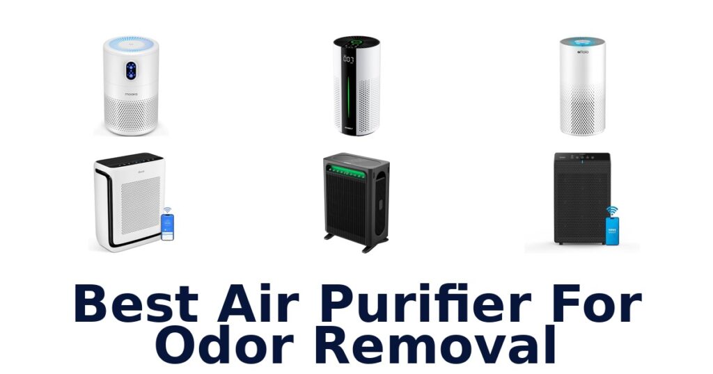 best air purifier for odor removal