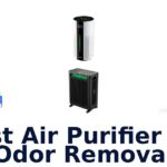 best air purifier for odor removal