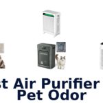 best air purifier for pet odor