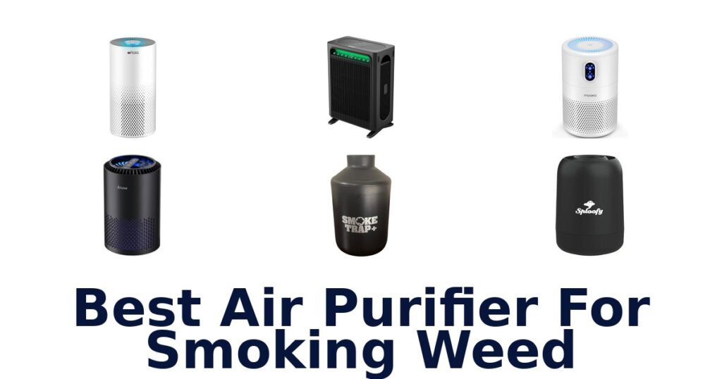 best air purifier for smoking weed
