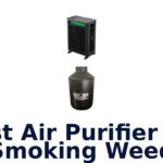 best air purifier for smoking weed